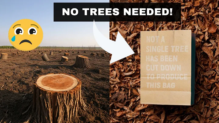 No Trees Needed! This Paper is Made from City Leaves!