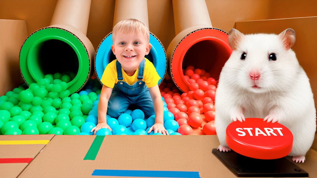 Trapped in the Hamster Maze!   Kids Must Escape!