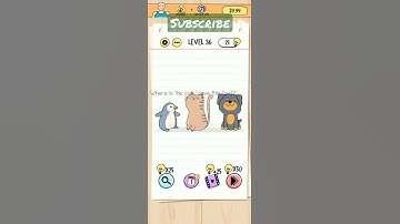 Brain Test level 36. where is the cat above the text?