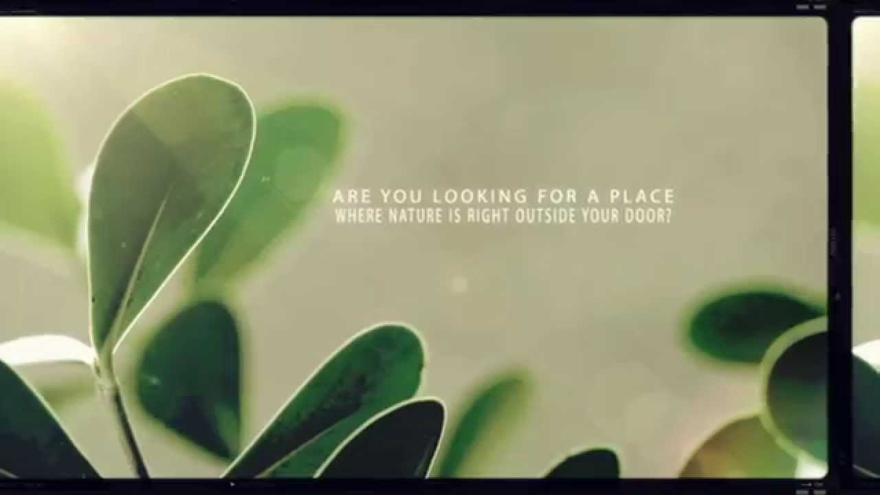 The Old North State | Brand NC Video