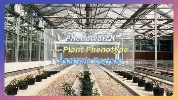 Introducing PhenoWatch – High-throughput Plant Phenotyping System