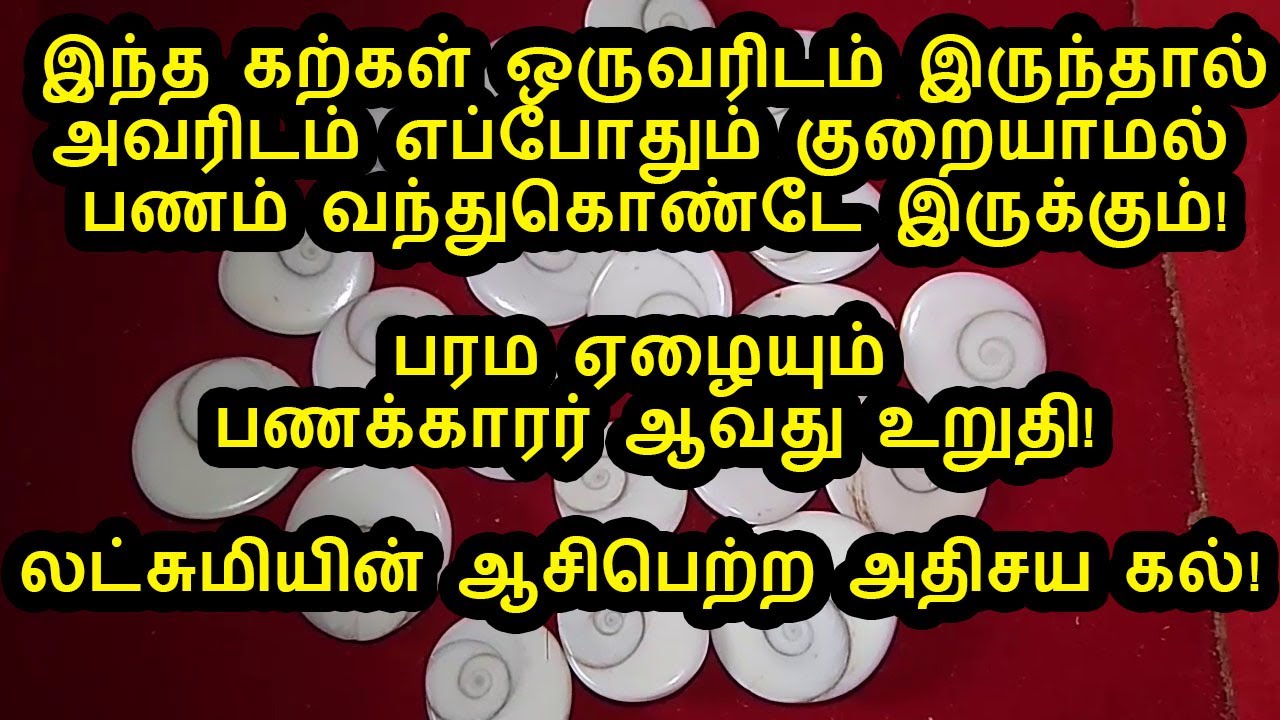  powerful Gomati Chakra Benifits In Tamil YouTube