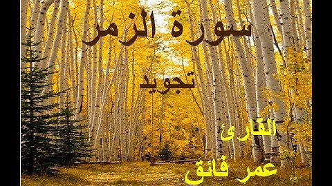 سورة الزمر - القارئ عمر فائق