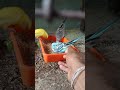 🐦🦜🥰🥰🥰🥰