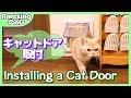 猫飼い歴17年目にしてやっとキャットドアを取り付けた - Installing a Cat Door -