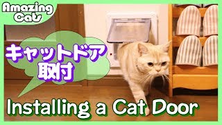 猫飼い歴17年目にしてやっとキャットドアを取り付けた - Installing a Cat Door -