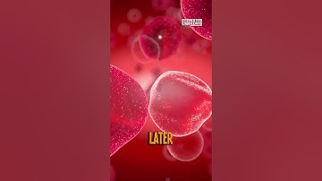 Wat zijn stamcellen en hoe worden ze gebruikt?