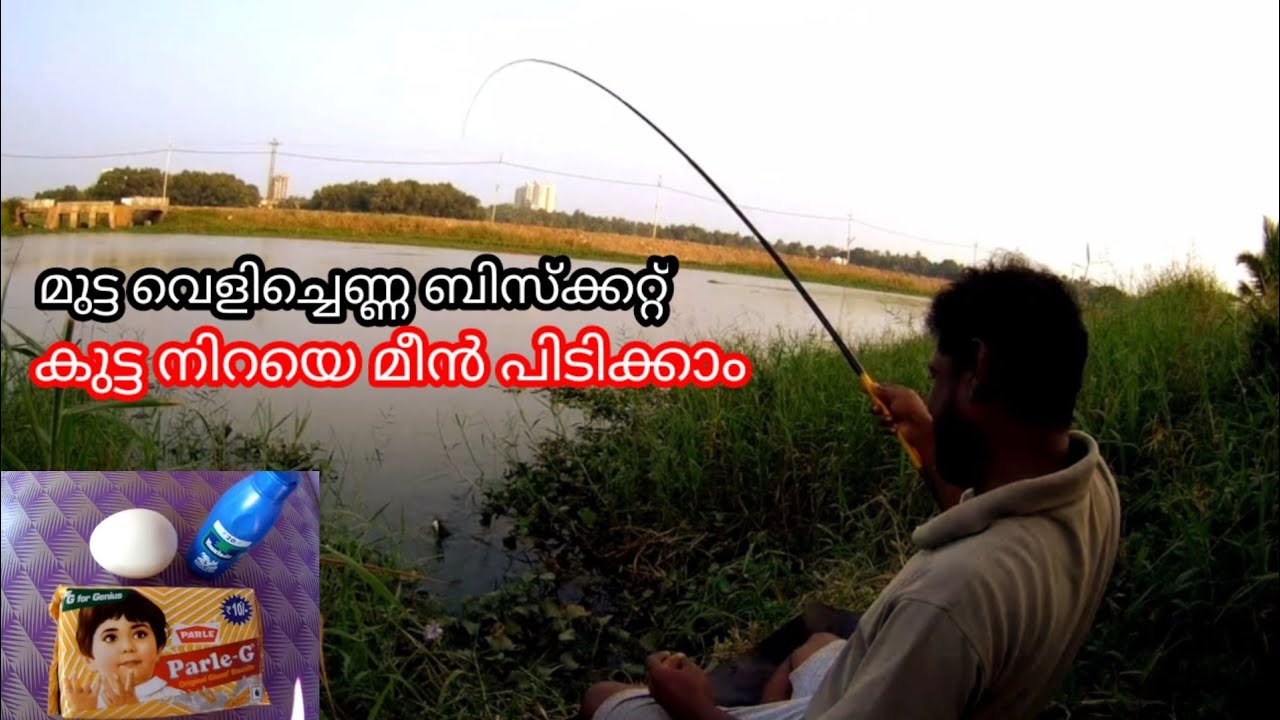 Fishing baite -- Fishing video -- Kerala fishing video