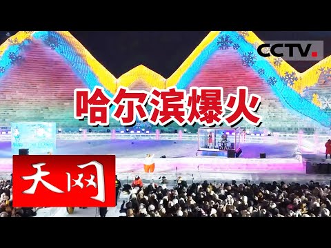 《天网》哈尔滨旅游热！冰雪大世界两个月接待271万游客 20240304 | CCTV社会与法