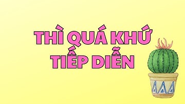Ngữ pháp: Thì quá khứ tiếp diễn