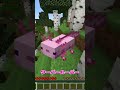ピンクを見たら即終了 サバイバルした結果www マイクラ マイクラ Minecraft たまちゃん Shorts ピンクを見たら即終了 サバイバルした結果www マイクラ マイクラ Minecraft たまちゃん Shorts