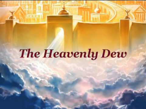 Wideo: Seria „Niebiańscy Krewni”