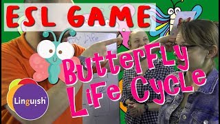 Linguish ESL Games // Butterfly life cycle // LT409