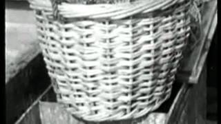 Download Lagu harderwijkse paling vissers MP3