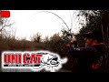 La traque du silure en hiver  winter catfishing adrenaline part 1fishing fishingcatfish