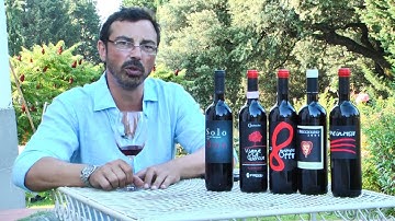 JAMESSUCKLING.COM - Tuscany - Castelvecchio