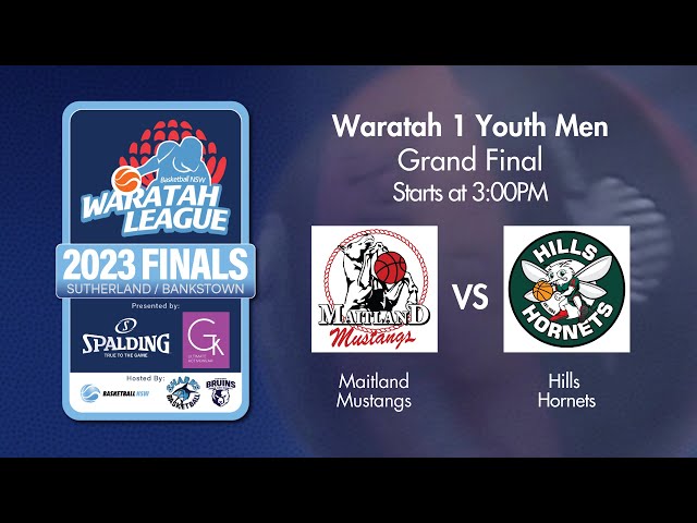 LIVE 🔴 - Maitland Mustangs v Hills Hornets- W1YM GF - 2023