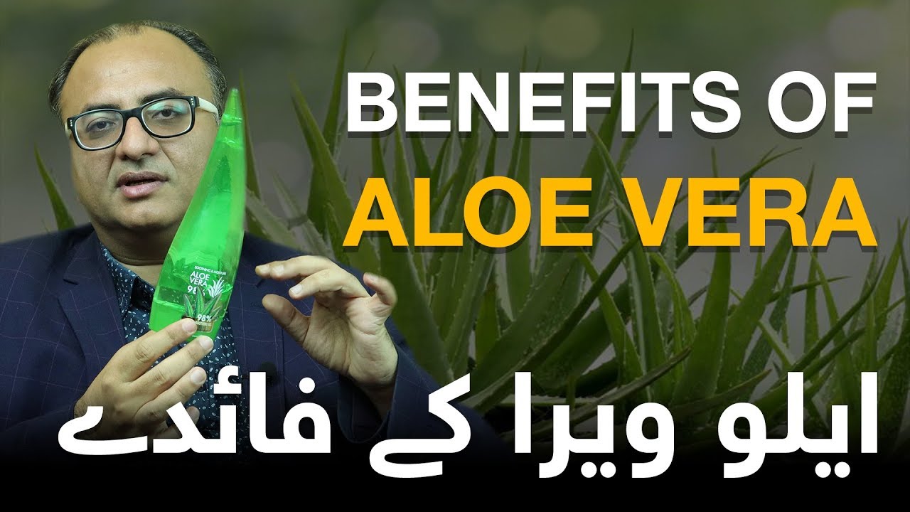 Thumbnail for Aloe Vera Kay faiday | Benefits of aloe Vera | Aloe Vera Business | Rehan Allahwala