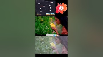 Professional Colour Grading In Kinemaster 😱 #viralshorts #shortvideo #shorts #edit #youtubeshorts