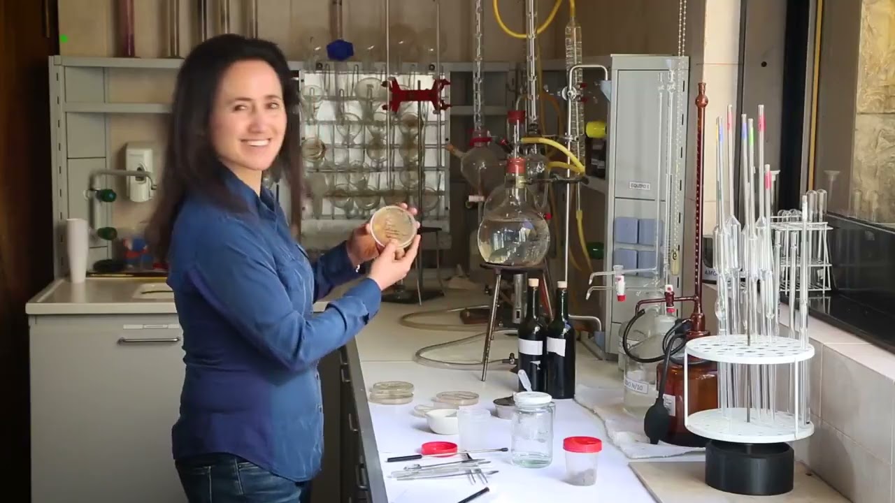 The Most Studied Vineyard in the World  Adrianna Vineyard by Laura Catena