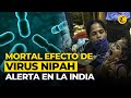 VIRUS NIPAH:¿Qué es y cómo se transmite la letal enfermedad que alarma a la INDIA?