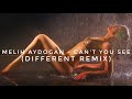 Melih Aydogan - Can't You See (Different Remix)