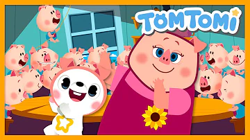 Chubby Chubby Baby Piggy🐷 | Kids Song⭐ | Piggy Song | TOMTOMI