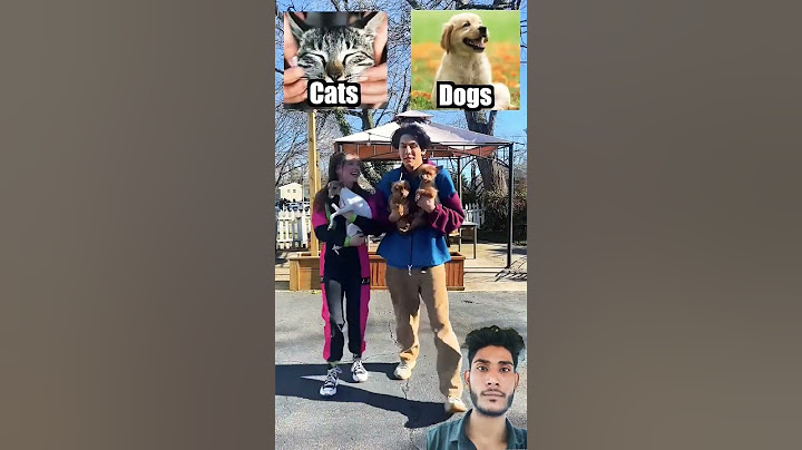 Personality Quiz WITH MY GF (Couples Edition) #shorts#love #short #🥰😍