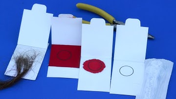 Proper Techniques for Bovine DNA Sampling