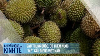 Thêm nước "mê" sầu riêng Việt Nam | Chuyển động kinh tế