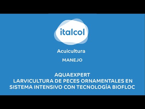 Video: Producción de forraje como negocio: características, tecnología y reseñas