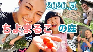 【DIY主婦】ちよまるこの庭　2020　夏！