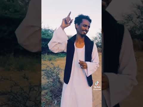 علاء الدين الريفي حالة واتس اب