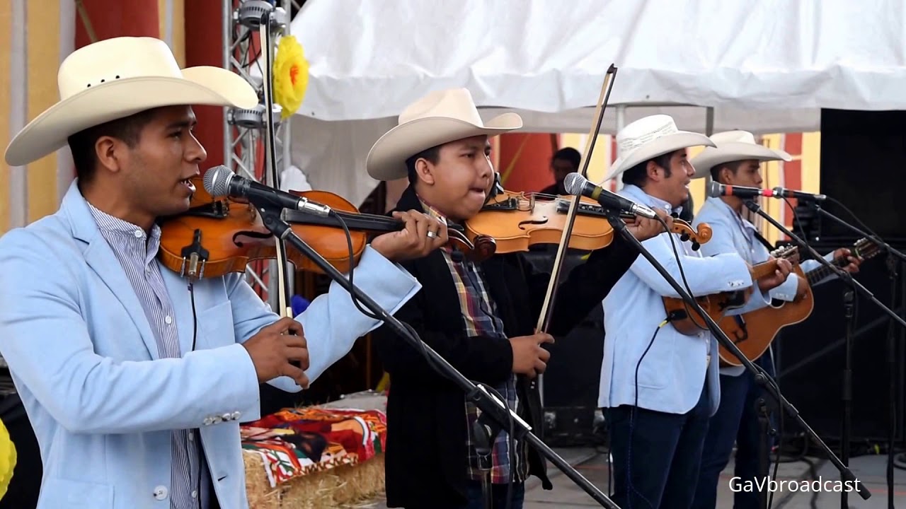 Puros Huapangos Huastecos por Alma Huapanguera YouTube Puros Huapangos Huastecos por Alma Huapanguera YouTube