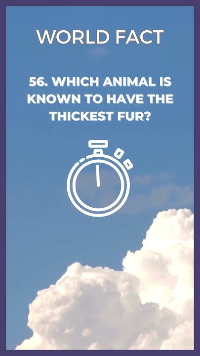 56. Which animal is known to have the thickest fur? - YouTube