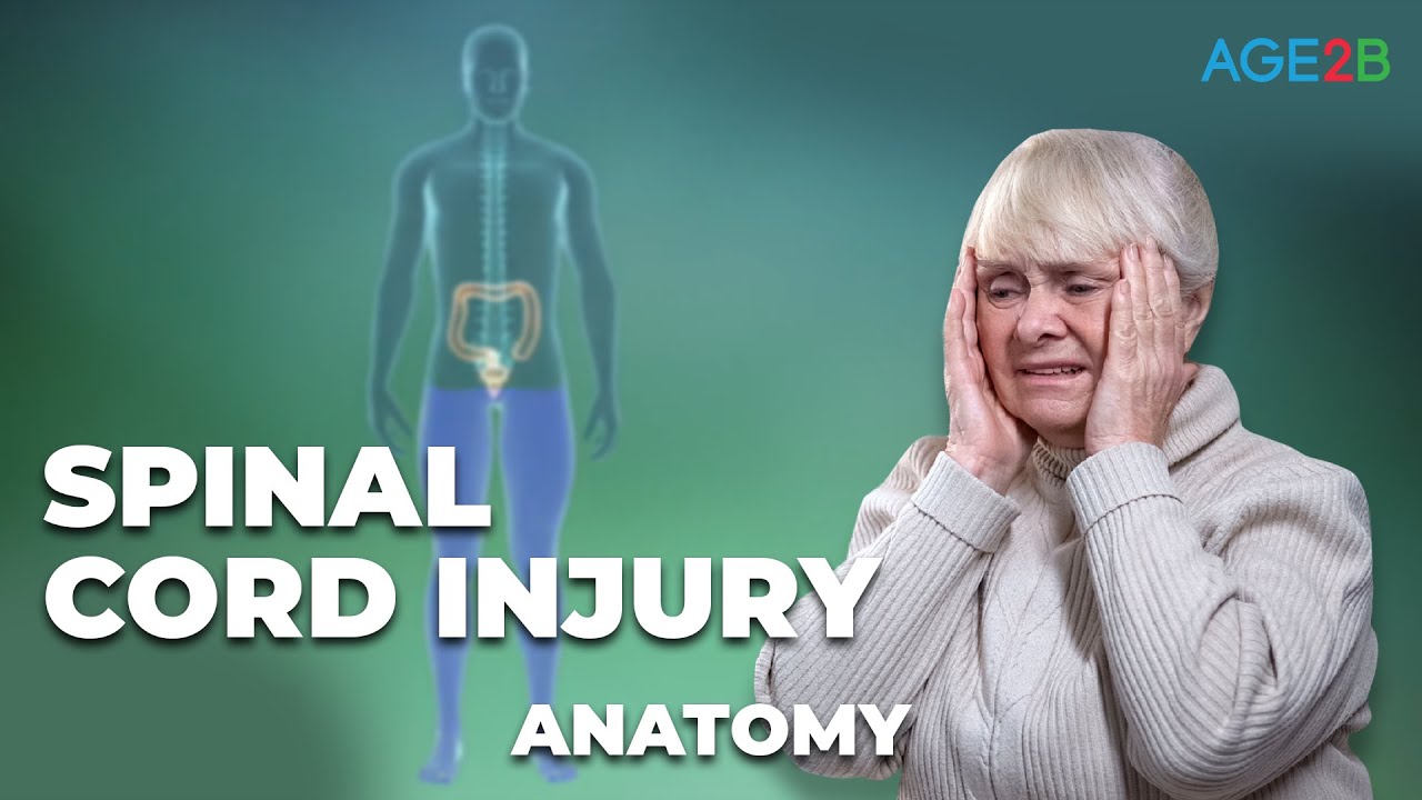 What is a Spinal Cord Injury? | Complete Or Incomplete | Everything You Need To Know | Detailed