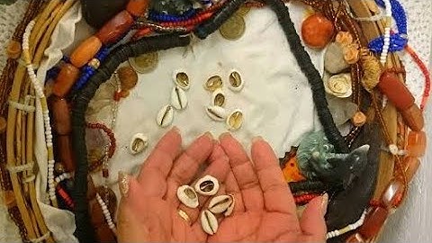 How To Use Cowries Shells To See the future, past and Present #cowrieshell #cowrie #theseer