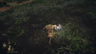 ELDEN RING Prophet Limgrave Got A Golden Rune From A Glowing Skull 26.02.22