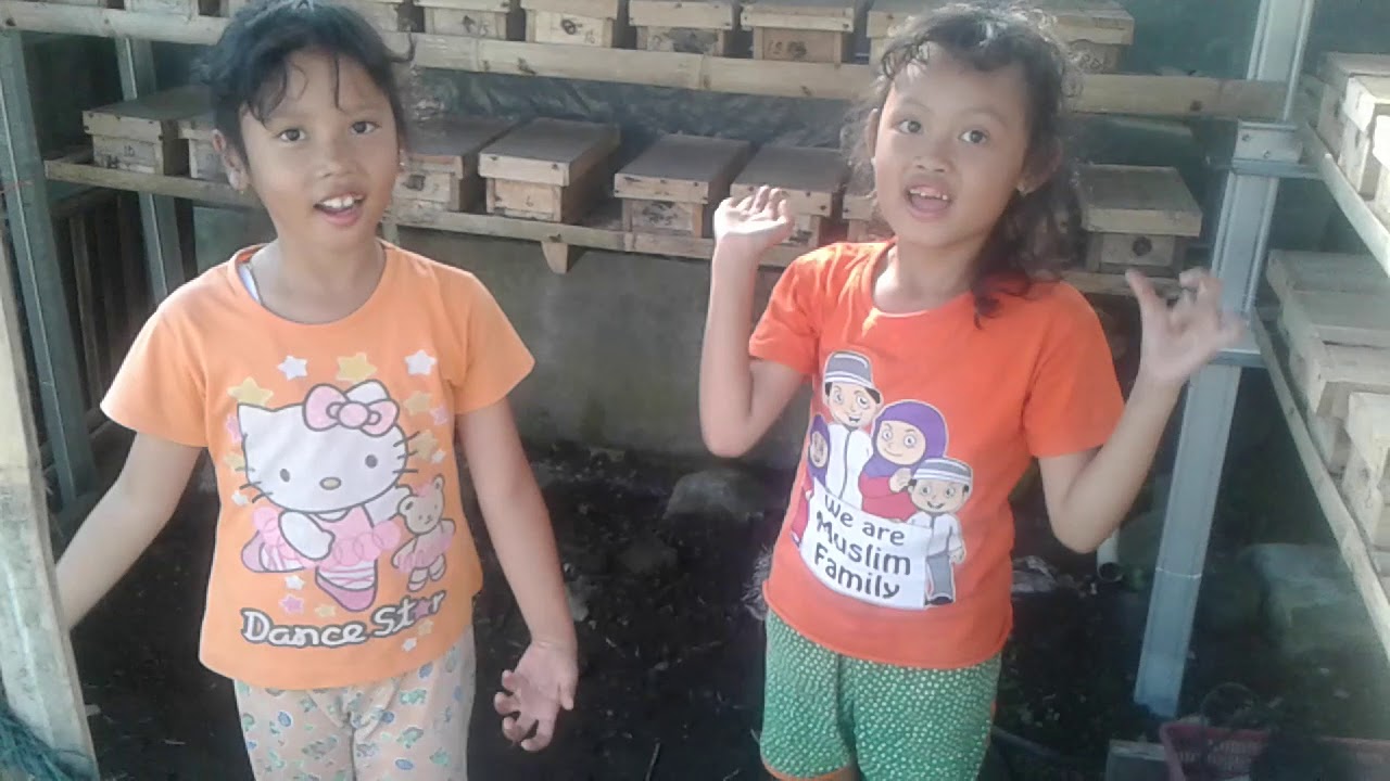 Tawon Klanceng dalam kotak 