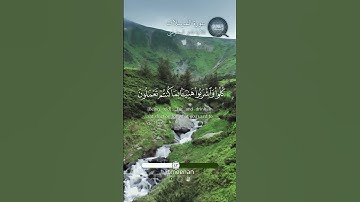 سورة المرسلات (41 - 45)
