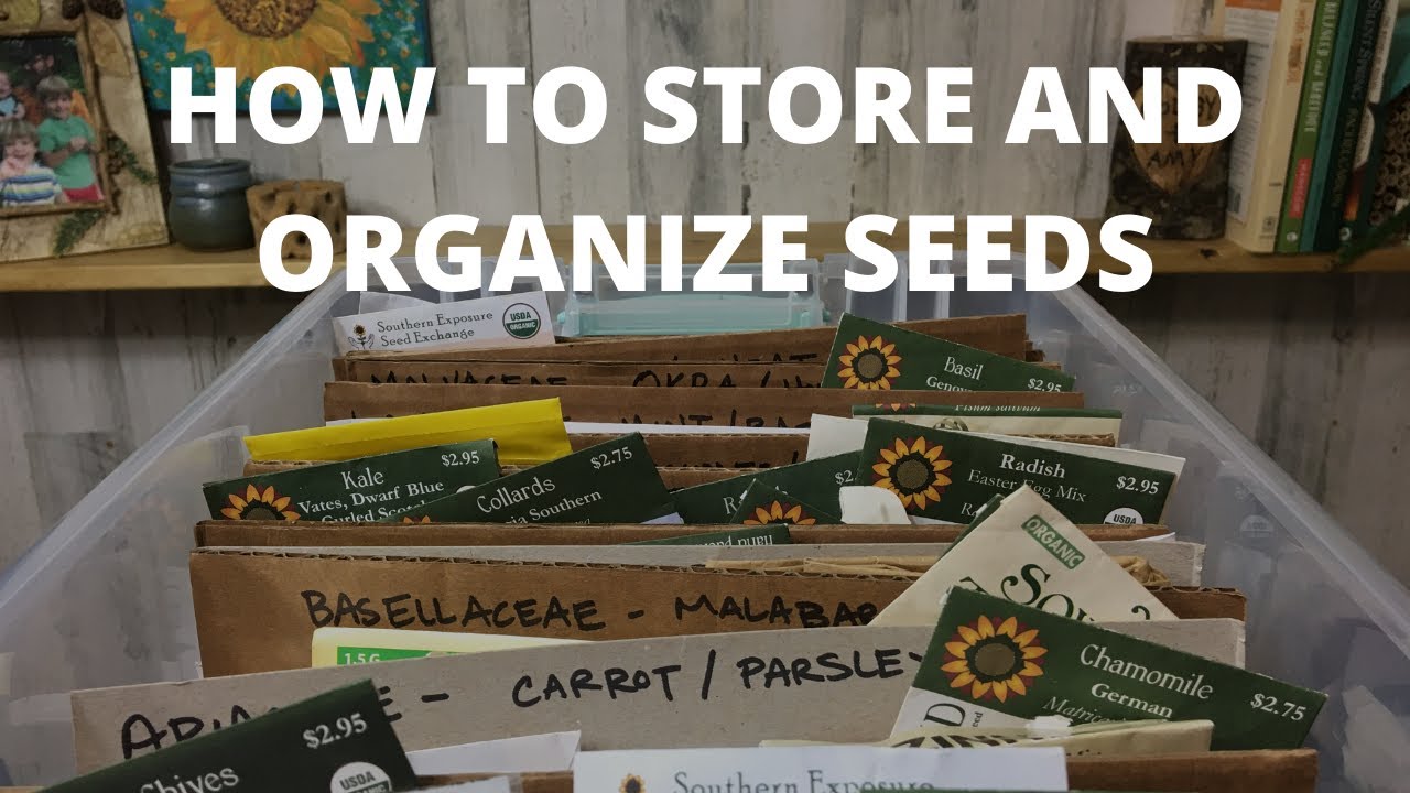 From Seed Hoarder to Organized Bliss: The Easiest Way to Organize Your Seed  Stash