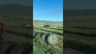 Making Hay Like Its Going Out Of Style