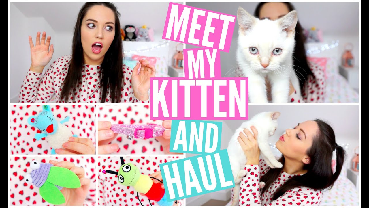 Meet My Kitten & Kitten Haul! ♡