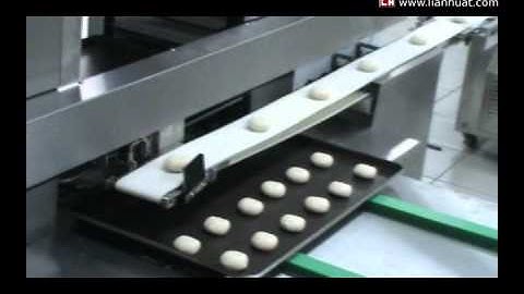 Automatic Encrusting Machine cw Single Line Auto Panning System ; enquiry@lianhuat.com