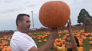 Bengtson’s Pumpkin Farm | Fall Fest Family Fun🎃🍁🍂 10/10/21