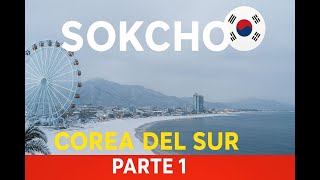 ¡LLEGAMOS A COREA DEL SUR! 🇰🇷 De Vietnam al límite con Corea del Norte 😱👉 COREA DEL SUR PARTE 1 🇰🇷