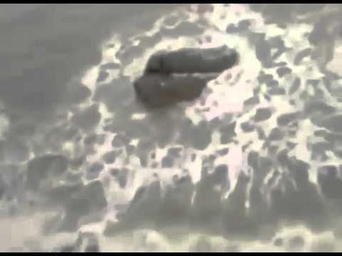 ისრაელის სანაპიროზე ტურისტებმა ნამდვილი ქალ–თევზა დააფიქსირეს