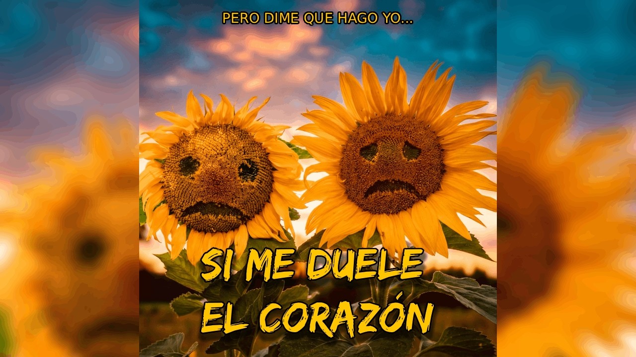 ME DUELE EL CORAZÓN - ILUSIONA2