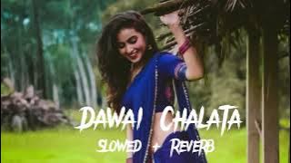 Dawai Chalata ( Slowed   Reverb ) Golu Gold New Song | lofimusic |