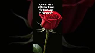 इश्क़ का असर  #shayari  #mushaira @shaileshrd6398